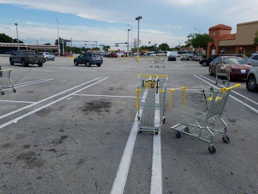 People are jerks. The cart corrals are there for a reason.