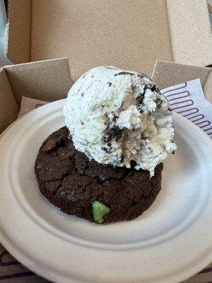 Double Chocolate Mint with mintersteller ice cream