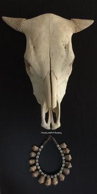 Authentic Cow Skull and Shell necklace