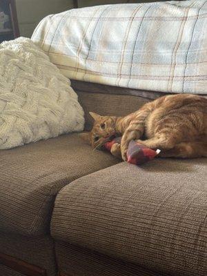 Oliver loving his big toy