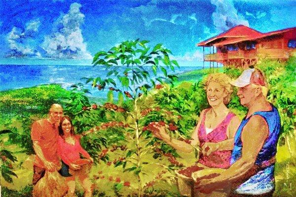 A painting of the owners Tom & Jacque Belcastro at there home farm where all the coffee is grown; Cherry Hill Estates, Kona Coffee Farm.