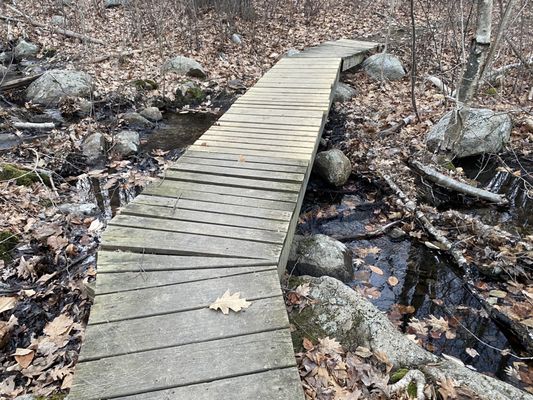 wooden path