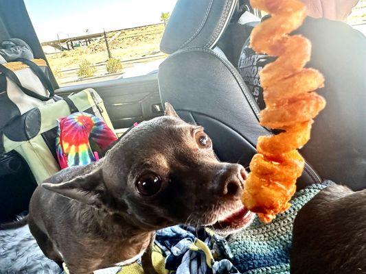 i'm not the only one who loves those 6" curly fries