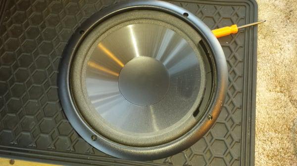 Infinity 10" woofer before self-install Simply Speakers foam surround kit.