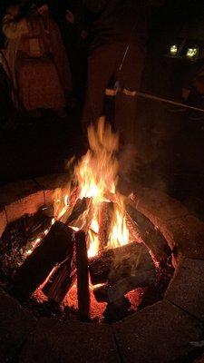 Roasting marshmallows at the bonfire