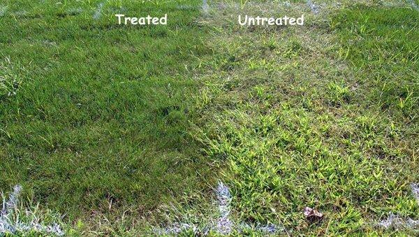 The difference in treating your lawn