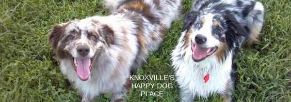 The country kennel minutes away from downtown Knoxville!