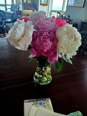 Beautiful peonies