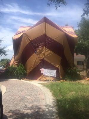 Tent Fumigation in Mount Dora Fl