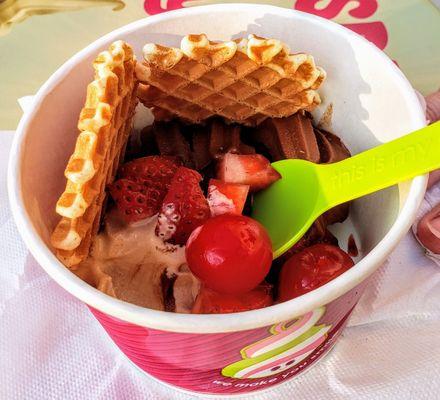 Frozen Yogurt Creation at Menchie's Orion Twp.