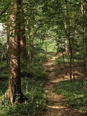 Trail entrance from Tilden