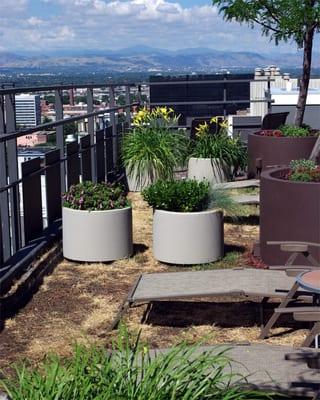 Nice view from The Lido's roof-top deck and not so spectacular looking grass.