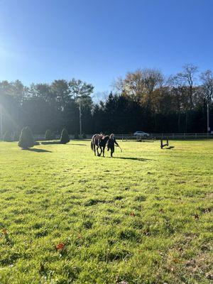 Rockleigh Equestrian Centre At Knockeen Farm