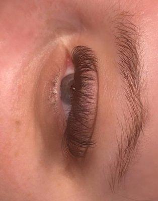 Volume lash extensions