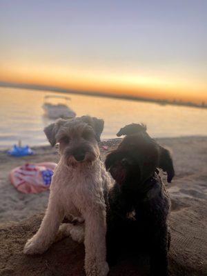 Graduates! Louie & Tegan Marie