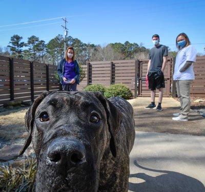 Animal Hospital Randolph offers plenty of room to roam.