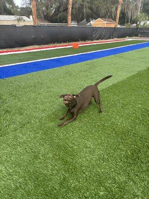 Playing on the turf!