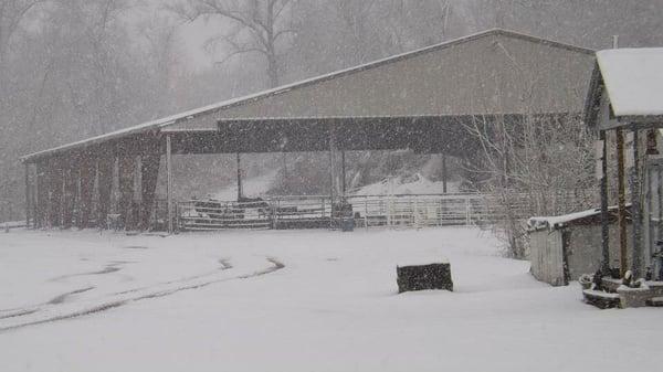 One of the largest covered arenas in the St. Louis area !