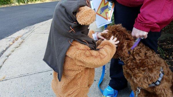 LB's Annual Parade of Costumes