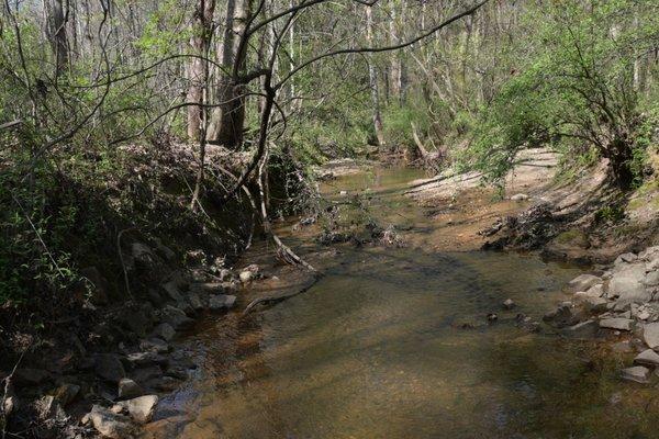 creek alongside the trail