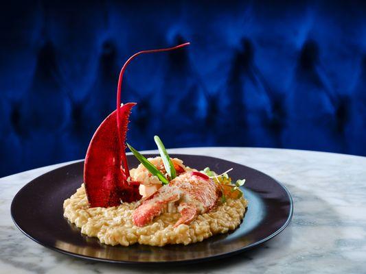 Lobster Risotto