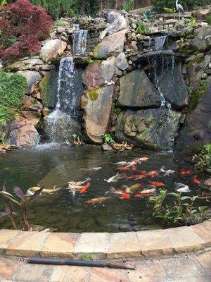 relaxing waterfalls with koi pond