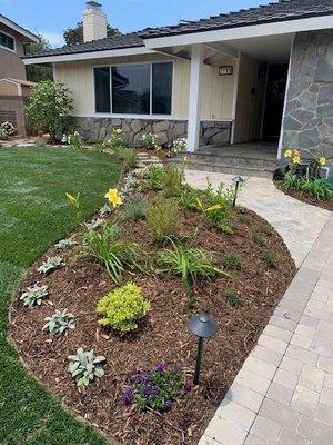 New Sod, Lighting, Planting and Pavers