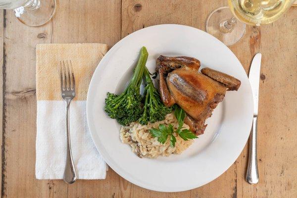 Fennel Roasted Squab With Orzo & Broccolini