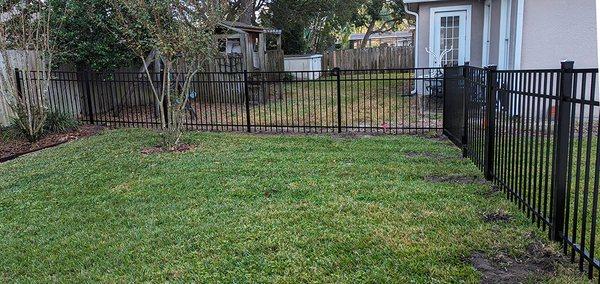 New black fence.