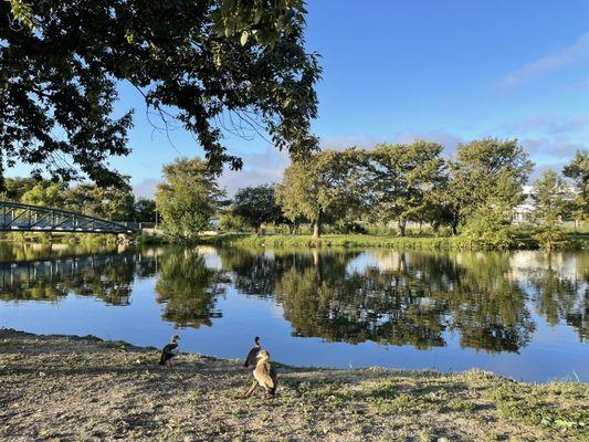 Elmendorf Lake