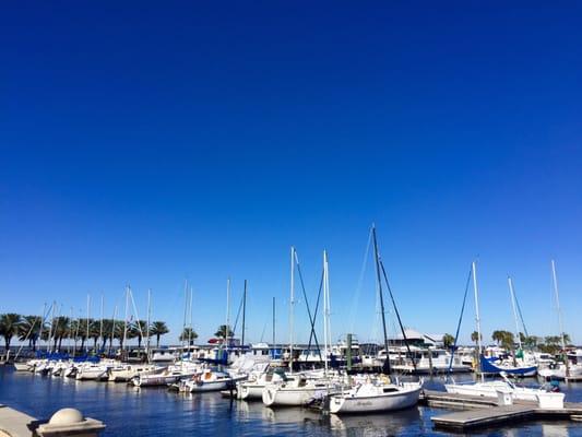 Monroe Harbour Marina