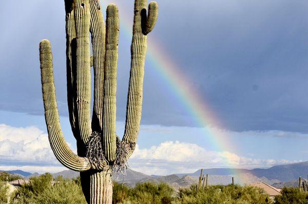 Beautiful sunrises in North Scottsdale