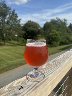 Watermelon gose