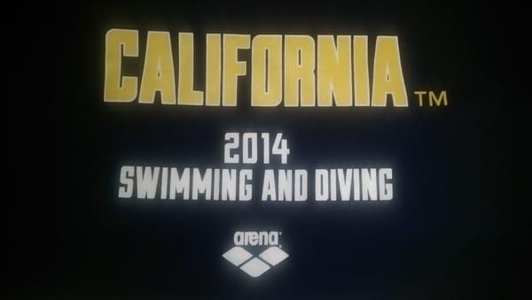 2014 Cal Swim & Dive Shirt