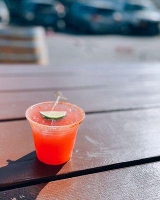 Hibiscus margarita / $9