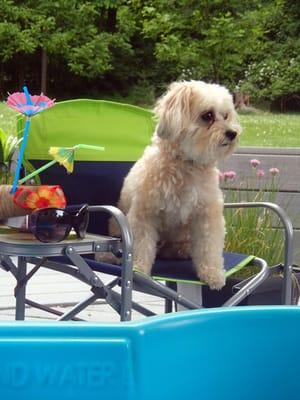 Just hanging out poolside--can I get a fresh drink?