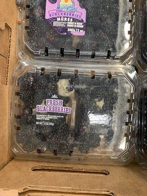 Berries with mold