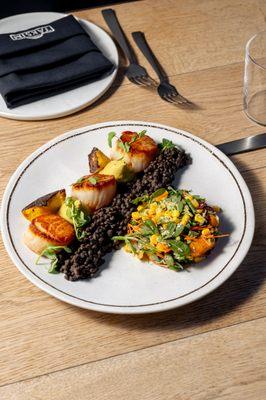 Scallops and Beluga Lentils