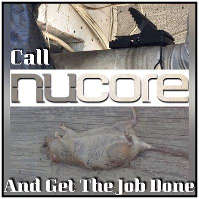 Nucore Pest Control