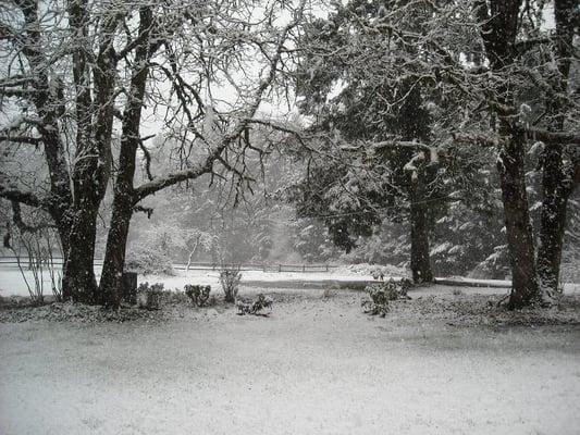 North of Battle Ground, WA.  We have over an inch of snow, It's still coming down at 9:13 am