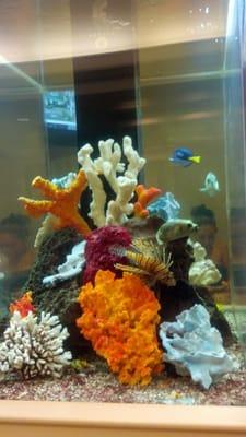 Cool fish tank in waiting area