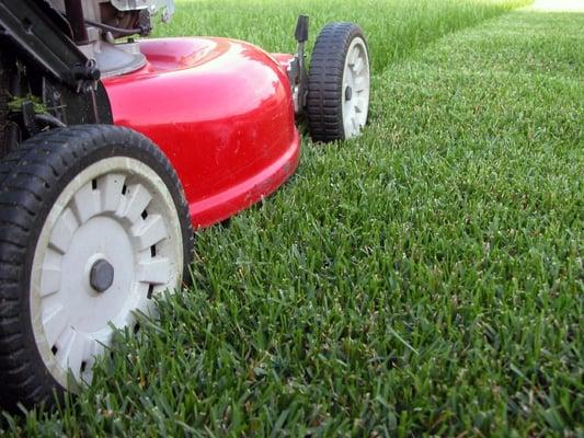 San Diego Lawn Care & Mowing Service