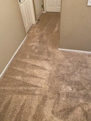 Fresh Carpets