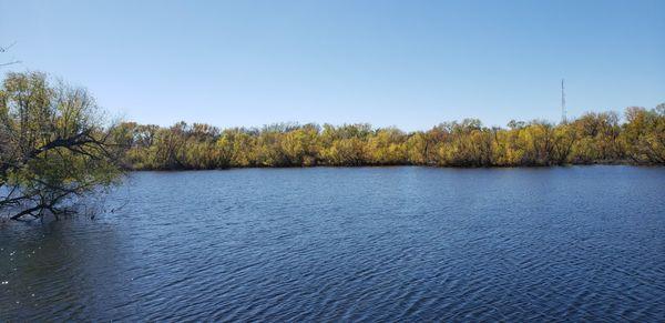 Beaver Pond