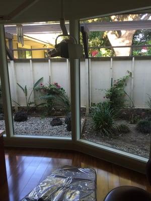 View to our Zen Garden