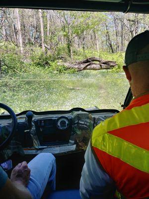 Field crew measuring in challenging terrain.