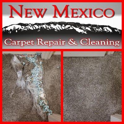 Four Hills, Albuquerque pet damage repair by New Mexico Carpet Repair and Cleaning.