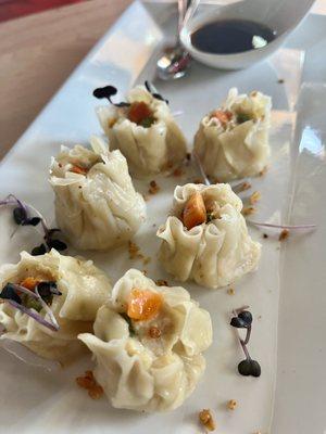 THAI DUMPLINGS