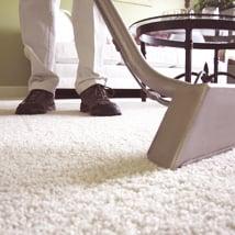 Carpet Cleaning, Minneapolis - St. Paul MN