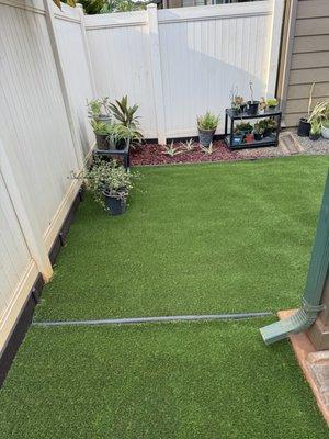 Red dirt turned into artificial dog grass and the red rocks with three plants Harold and Andrew planted.